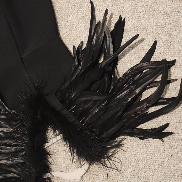 Fashion nova maxi dress with feathers - Picture 14 of 16